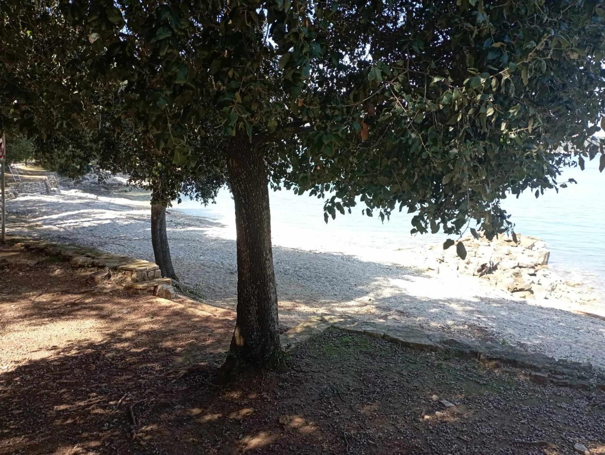 רוביני Apartman Angela מראה חיצוני תמונה